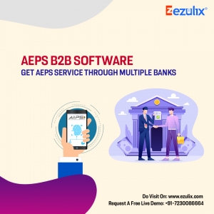 AEPS B2B Software for Profitable AEPS Business 